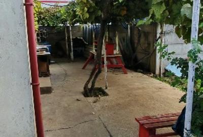 Teren vânzare zona Viile Noi - 7