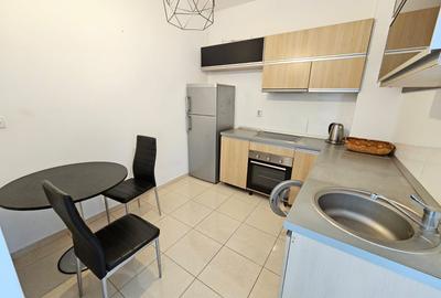 Muncii/Calea Calarasilor/Bloc Nou/Ap 2 Camere La Cheie/ - 10