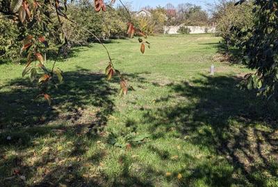 Proprietar,casa renovata ,teren 2000 mp deschidere 113 m,Farcasele Olt - 14