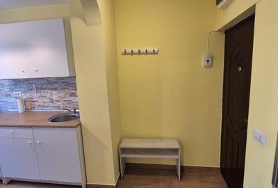 Dr. Taberei - Afi Cotroceni, str. Sibiu, 2 camere, mobilat, balcon mare - 16