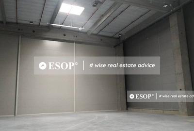 WDP Industrial Park Stefanesti, spatii industriale, 5.000 - 53.000mp - 5
