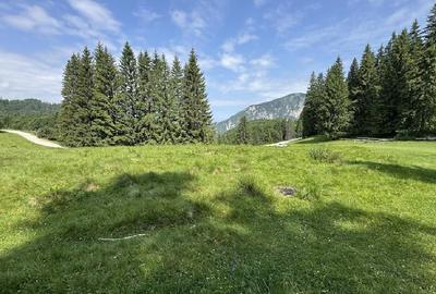 PREDEAL - Teren intravilan 6,000 m² -Poiana Secuilor - 6