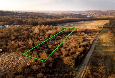 Reco Teren intravilan in Saldabagiu de munte 4333MP - 1