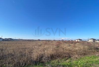 REL4001238 Dragomiresti Vale - 6500 mp -  ideal dezvoltare rezidentiala - 5