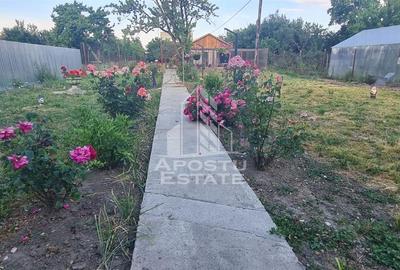 Casa individuala de vanzare cu teren de 2000 mp, Fratelia, Timisoara - 6