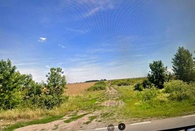 Teren Calea Torontalului/Aradului, PUZ ptr blocuri - 3