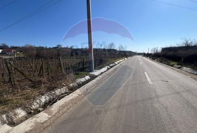 Teren intravilan Movilita, 2700mp - 2