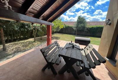 Vila de inchiriat in zona Ghiroda - 18