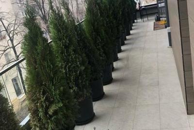 Apartament cu 3 camere decomandat, mobilat în Floreasca