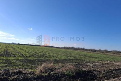 Teren intravilan 2461 mp zona Vadu pasii Nod rutier Autostrada A7 - 2