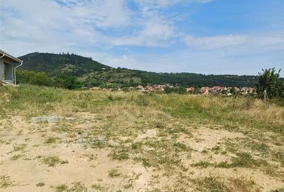 Teren cu vedere panoramica catre oras in Saliste - 2