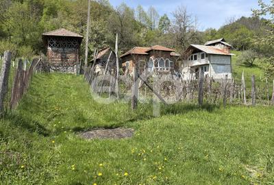 Panoramă superbă - 14.613 mp lângă A1 Tigveni - 1,5 ore până la București - 3