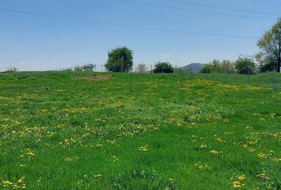 Teren Campina varful Muscel - 2