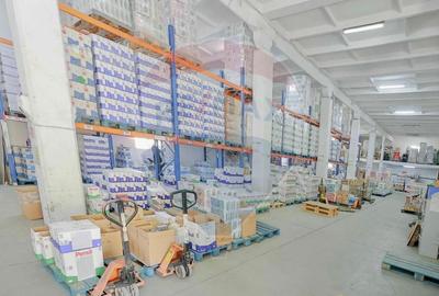 De vânzare Spațiu industrial de 10 129 mp, Șoseaua Borșului - 10