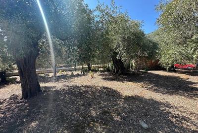 Teren intravilan pe insula Thassos, aproape de plaja salbatica - 10