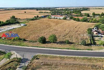AZURA Imobiliare - Teren la DN7 langa Gaesti, Crangurile - Badulesti - 4