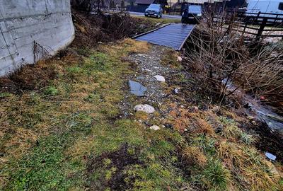 Teren intravilan Simon/Bran, 4318 mp , casuta intabulata, utilitati - 39