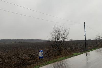 Petrechioaia  Tarla 75 -31 - 32  Vanzare  Teren extravilan - 5