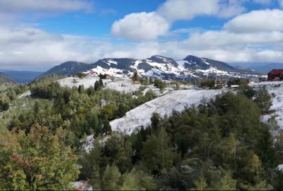 Teren superb intravilan  Pestera- Brasov, 11.908 mp - 1