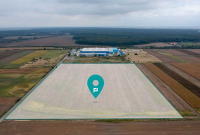 Teren extravilan 5 hectare ( zonă industrială ) Șag - 1