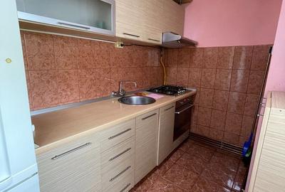Apartament 1 camera, de inchiriat in Lugoj zona Kaufland - 13