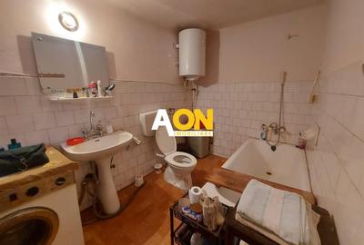Casa Ciugud Toate Utilitatile cu Teren 3000MP - 13