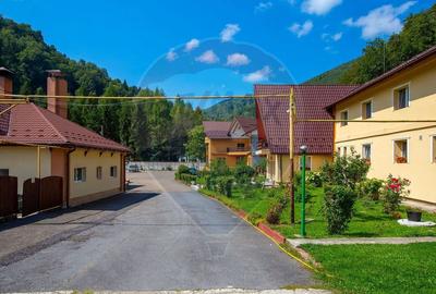 Resort Montan & Oportunitate de Investiție – Poiana Sărată - 19