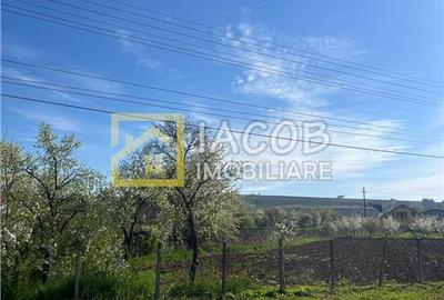 Teren intravilan 2554 mp, com. Prajesti, jud. Bacau - 4