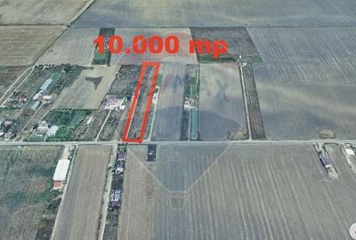 Teren Focsani 10000 mp Suraii - 5