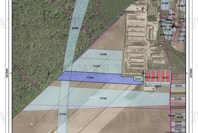 Vanzare teren pentru complex hale/logistica cu facilitati si acces la A0 Vest, Z - 1