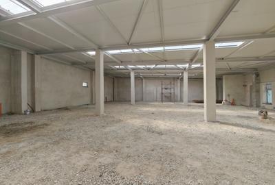 Proprietate deosebita open space 560 mp ICIL - 11