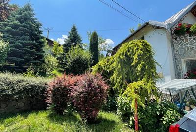 Casă individuală cu 5 camere în Central