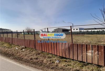 Teren Dascalu la sosea 10000 mp  industrial depozitare - 1