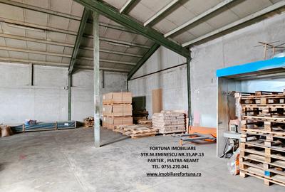 Complex imobiliar, hala, birouri si apartament, teren 1896 mp, Piatra Neamt - 16