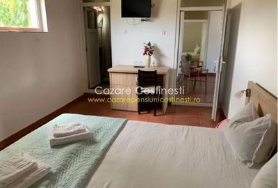 PENSIUNE 8 UNITATI DE CAZARE - COSTINESTI - 23