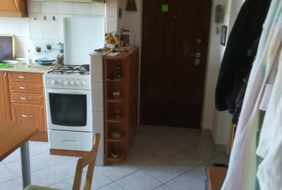 Inchiriez ultracentral apt. 3 camere, plus garaj - 10