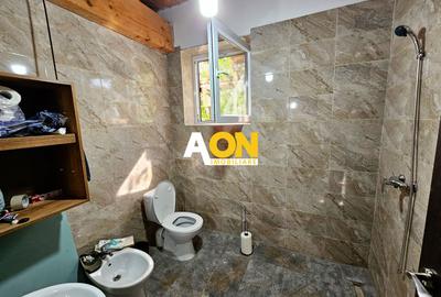 Casa multifunctionala, 6 camere , 700 mp teren, cu utilitati, Ciugud - 18