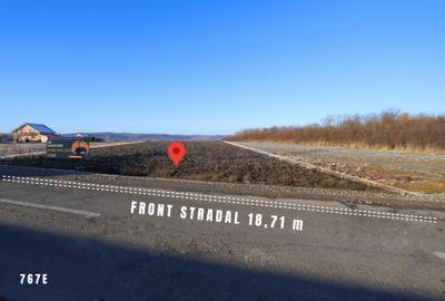 Teren de vânzare în Alparea 6942mp parcelabil - 2