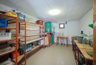 Casă de vânzare, tip duplex, teren 889 mp, în Păușa, comuna Nojorid - 12
