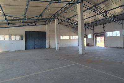 Spațiu Industrial și Logistic - 17