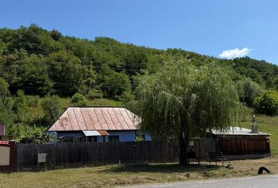 🏡 CASĂ BĂTRÂNEASCĂ DE VÂNZARE – SĂNDULENI,  💥 Comision 0% - 1