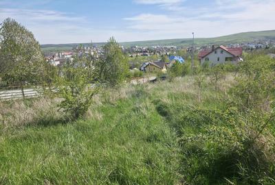 Teren 500mp Zona Fermelor - 14