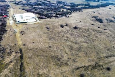Teren agricol extravilan de vânzare – 67.500 mp – Dealul Daii, Sibiu - 9