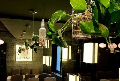 Casa/Vila | Restaurant | Terasa 120mp2 | Ultracentral - Rosetti - 2