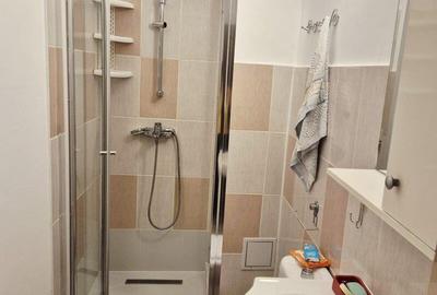 Apartament 3 camere inchiriere Gorjului/Militari - 11