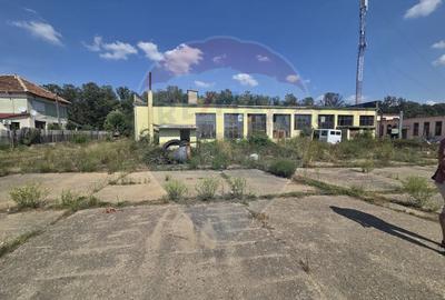 Spațiu industrial 15435 mp. de vânzare in Tinca. - 14