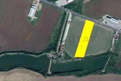Teren intravilan 15.000 mp – DN2 Afumați - 5