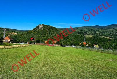 De vânzare teren de 2.782 mp în loc. Bixad - 3