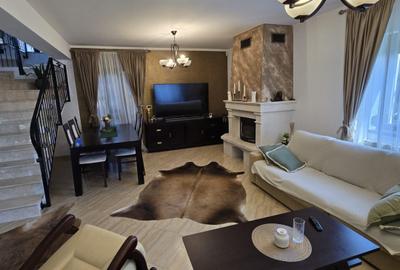 Casa de Vis, Serbanesti - 14