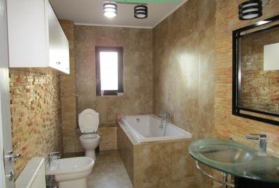 Spatiu-Apartament 6 camere, 158 mp, Micalaca zona 300, acces separat - 17